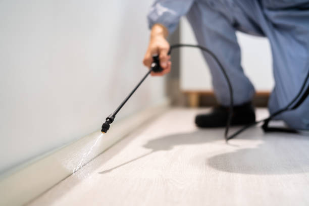 Licensed Termite Control service in Mooresville, NC - Nex Pest Control
