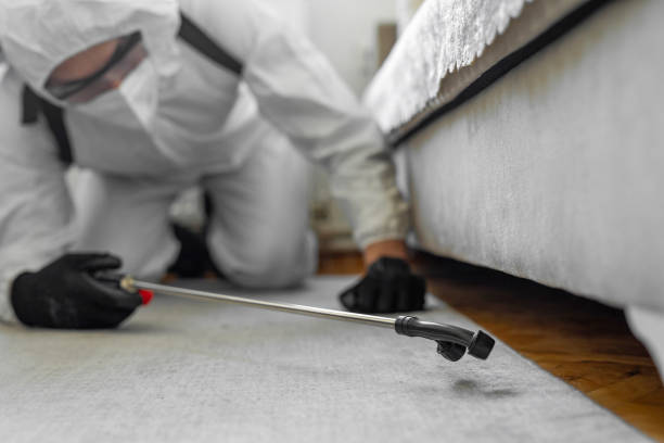 Professional Termite Control technician working in Mooresville, NC
