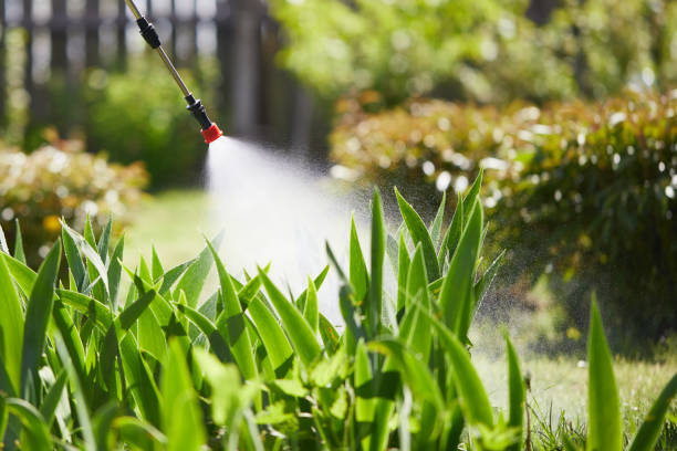 24/7 Emergency Termite Control experts in Mooresville, NC