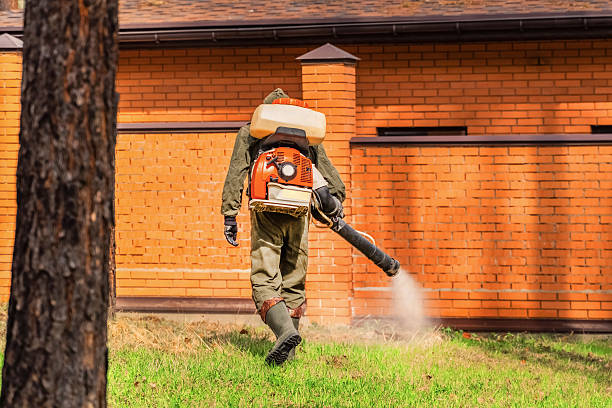 Trusted Cockroach Control service in Mooresville, NC - Nex Pest Control